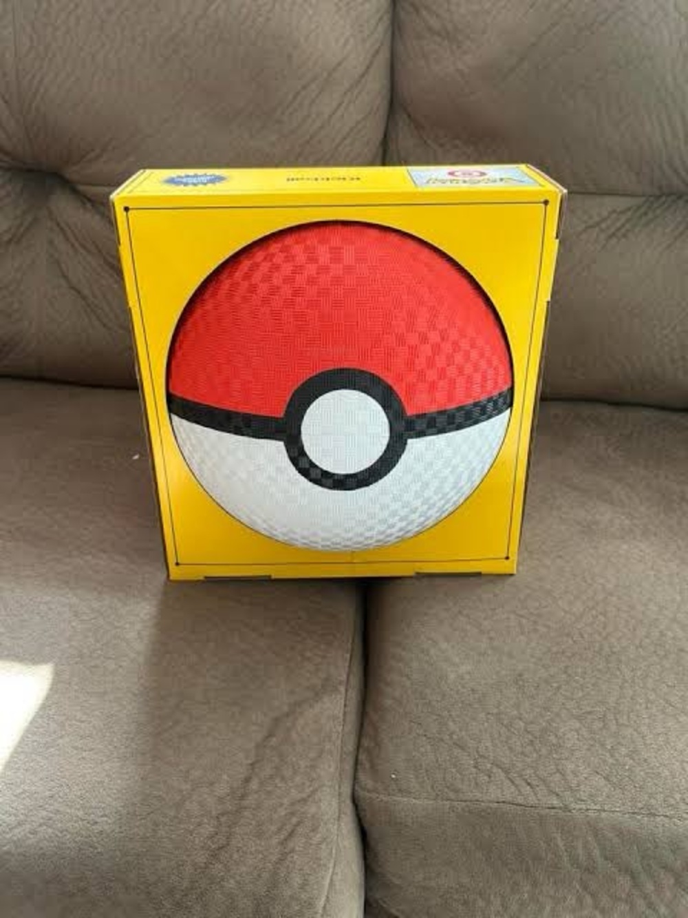 Pokemon Poke Ball Kickball
